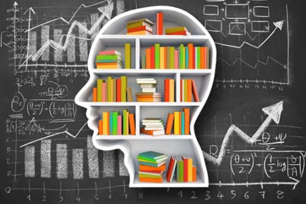 BACHARELADO EM BIBLIOTECONOMIA (EAD)